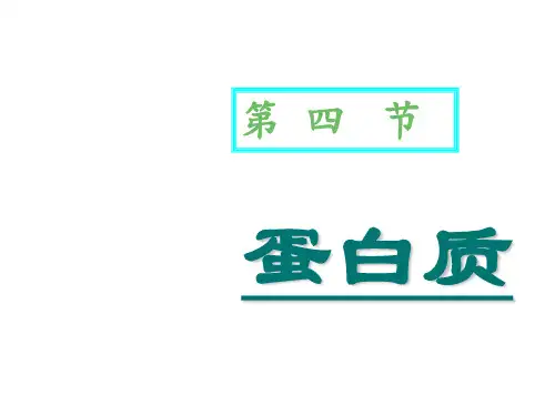 蛋白质主要由哪些元素组成