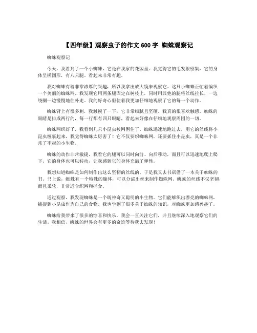 【四年级】观察虫子的作文600字 蜘蛛观察记