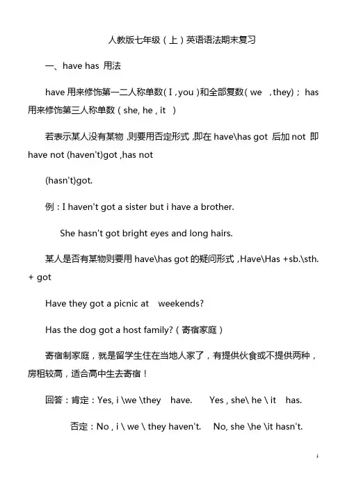 人教版七年级(上)英语语法总复习