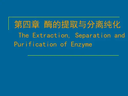 第四章酶的提取与分离纯化资料
