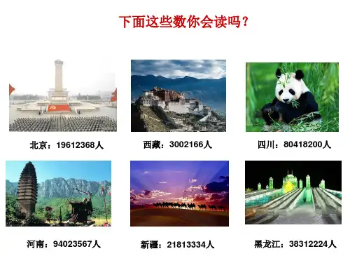 第一课时大数的认识PPT课件