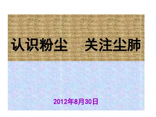 水泥企业职业健康安全知识培训会讲ppt课件