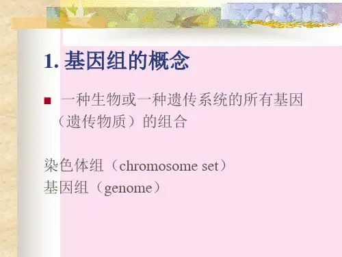 分子生物学  基因组与比较基因组学