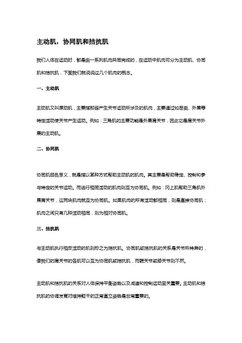 协同肌的分类和举例