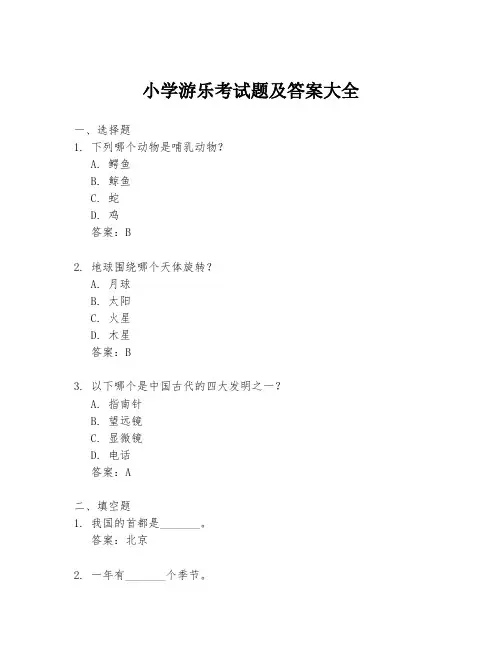 小学游乐考试题及答案大全