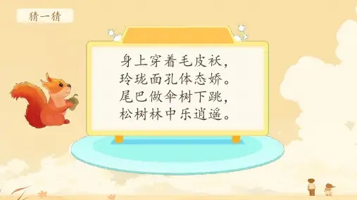 17 松鼠 课件(共26张PPT)