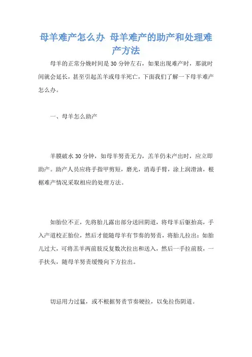 母羊难产怎么办 母羊难产的助产和处理难产方法