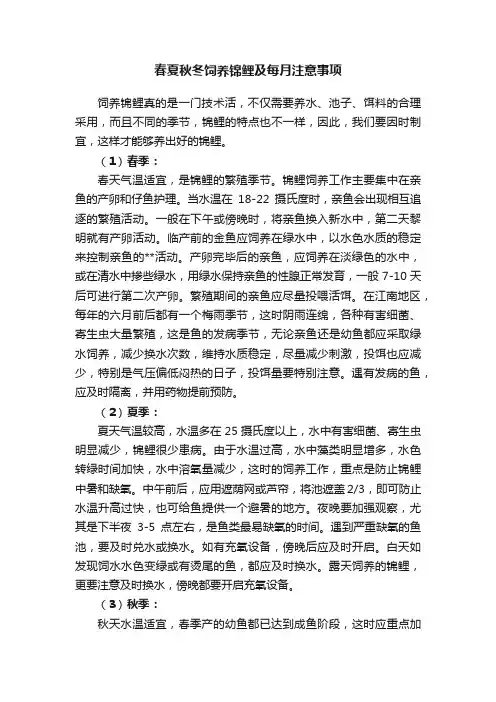 春夏秋冬饲养锦鲤及每月注意事项