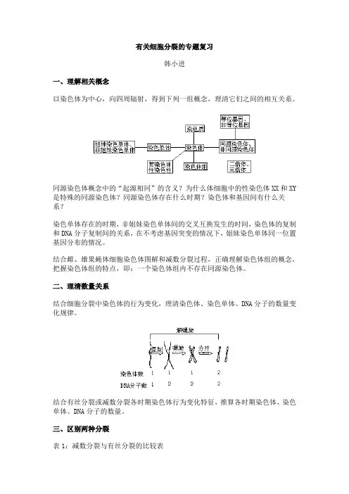 有关细胞分裂的专题复习