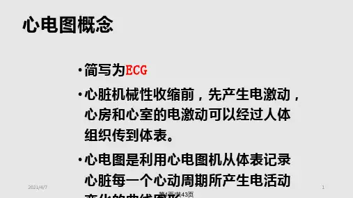 心电图幻灯片课件PPT学习