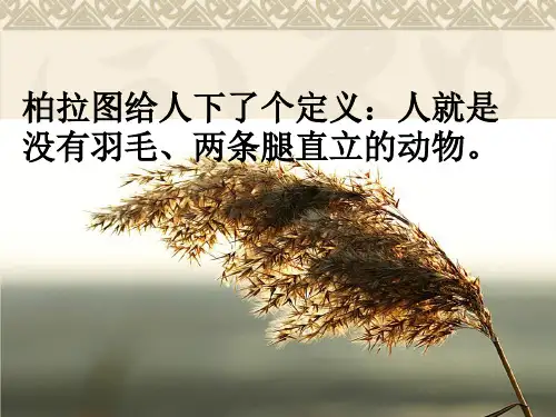 《人是一根能思想的苇草》(上课)ppt