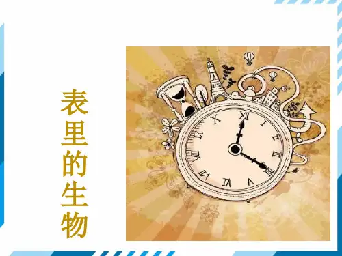 部编版《表里的生物》公开课课件1