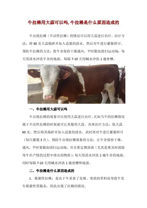 牛拉稀用大蒜可以吗,牛拉稀是什么原因造成的