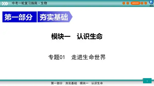 走进生命世界备战2023年新课标中考生物一轮复习精讲课件