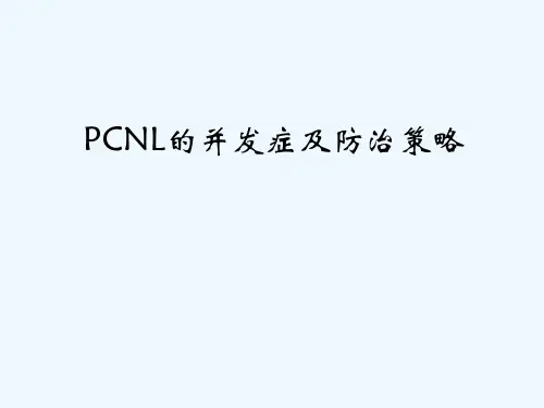 最新 PCNL的并发症及防治策略(63页)