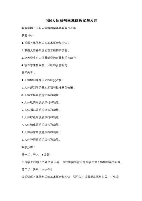 中职人体解剖学基础教案与反思