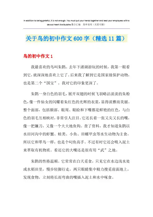 关于鸟的初中作文600字(精选11篇)