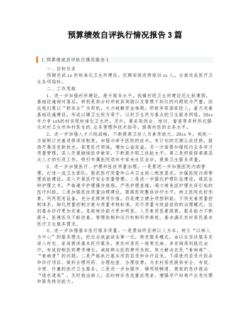 预算绩效自评执行情况报告3篇