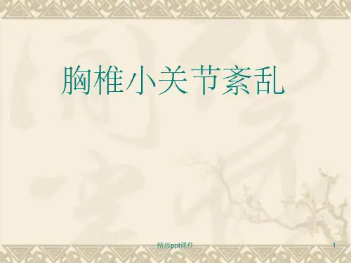 《胸椎小关节紊乱》PPT课件