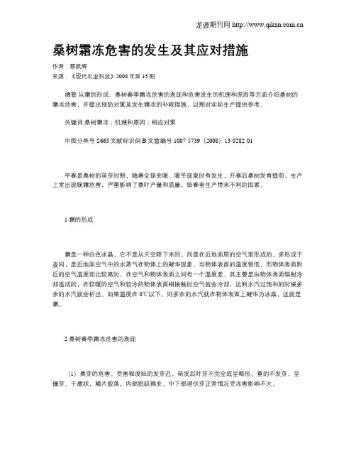 桑树霜冻危害的发生及其应对措施