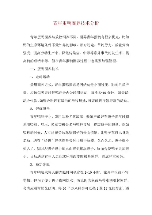 青年蛋鸭圈养技术分析
