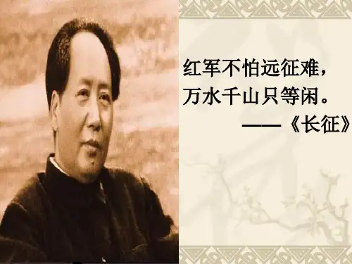 27.青山处处埋忠骨(完美版)