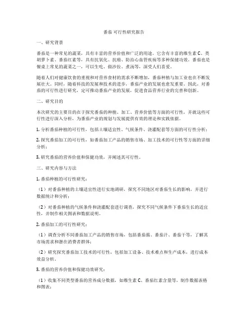 番茄 可行性研究报告