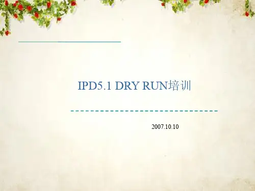 IPD5.1 DRY RUN培训(ppt 160页)