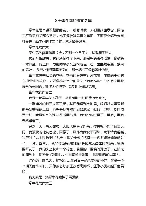 关于牵牛花的作文7篇