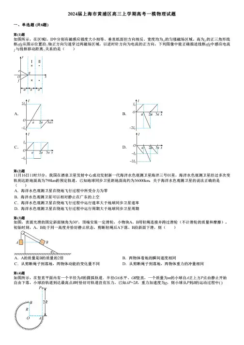 2024届上海市黄浦区高三上学期高考一模物理试题