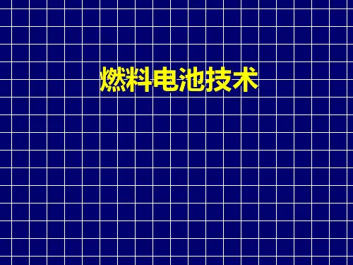 燃料电池技术