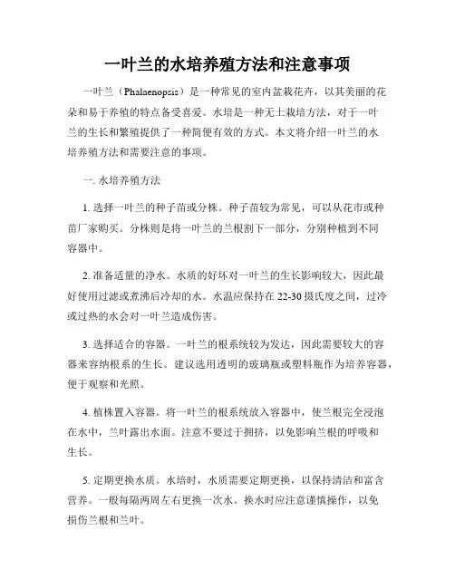 一叶兰的水培养殖方法和注意事项