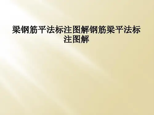 梁钢筋平法标注图解钢筋梁平法标注图解