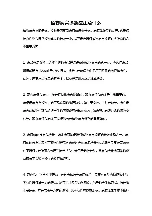 植物病害诊断应注意什么