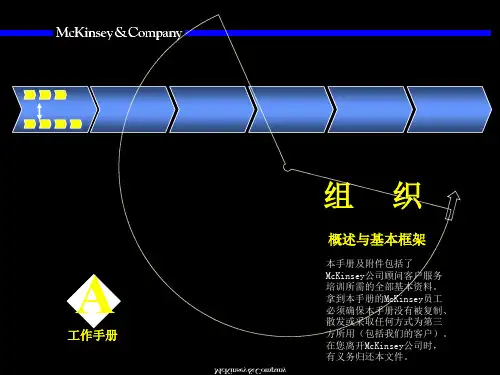 麦肯锡—组织咨询培训手册-46页PPT资料