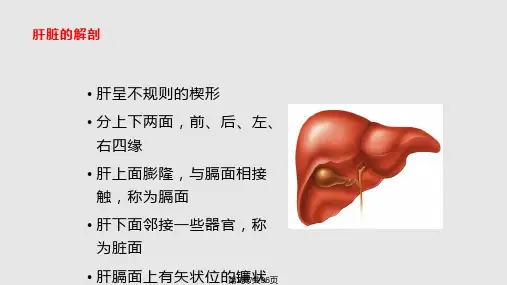 科内讲课肝脏的影像学解剖及ct诊断课件.pptx