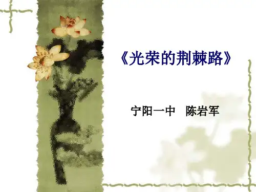 光荣的荆棘路