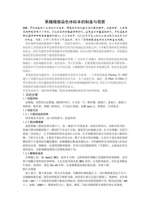 果蝇唾腺染色体标本的制备与观察