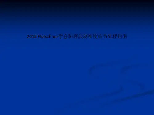 2013 Fleischner学会肺磨玻璃密度结节处理指南
