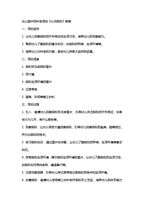 幼儿园中班科学活动《认识蚂蚁》教案