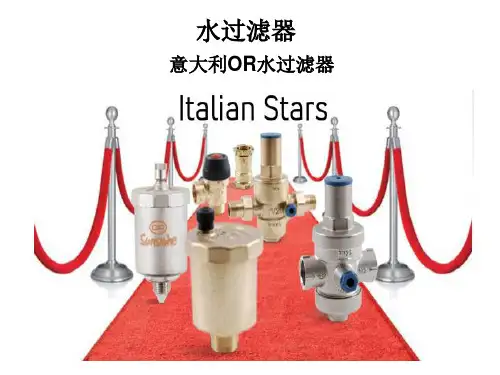 水过滤器