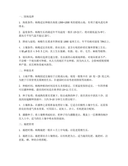 杨梅种植_管理技术