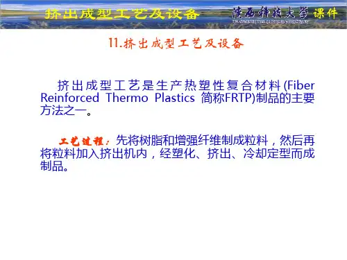 挤出成型工艺及设备[1]