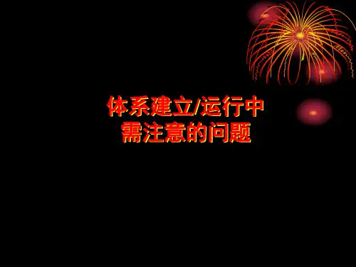 体系建立运行中的有关问题