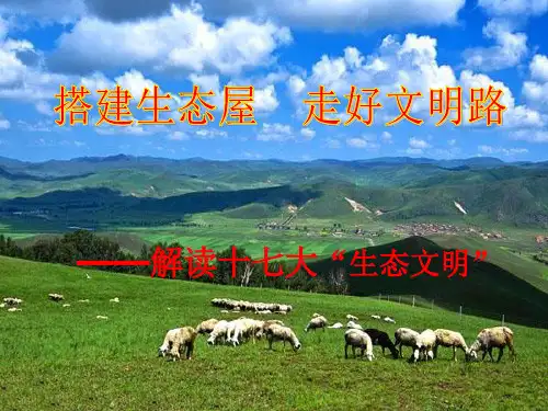 解读十七大生态文明汇总
