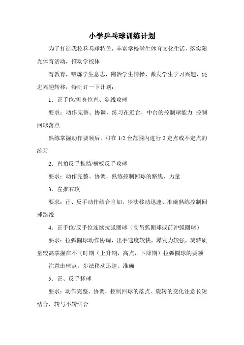 小学乒乓球训练计划