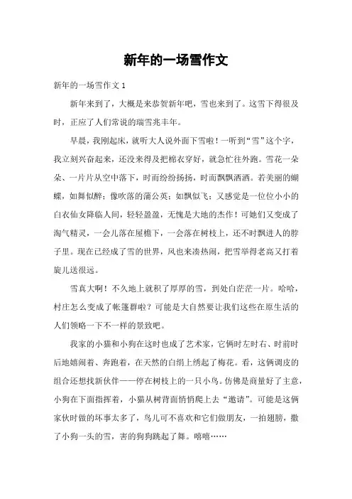 新年的一场雪作文