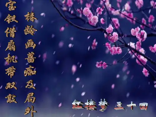 红楼梦第三十回