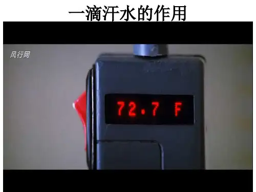 人物细节描写PPT课件