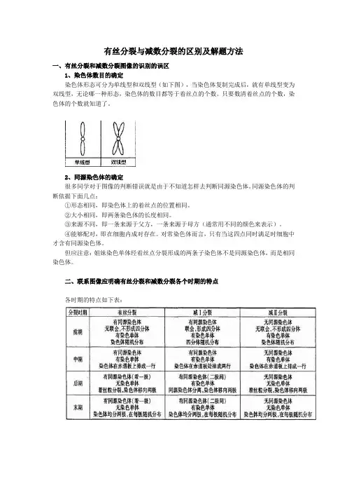 高三生物-有丝分裂与减数分裂的区别及解题方法